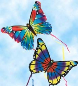 Set Of Two 16" Mini Butterfly Kites