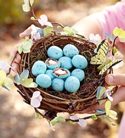 Spring Nest With Gourmet Eggs