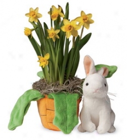 Stuffed Carrot Planter With Plush Bunny And Jonquil Bulbs