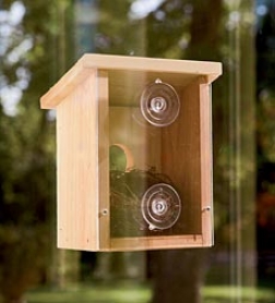 Wood Observation Birdhouse With Clear Aid