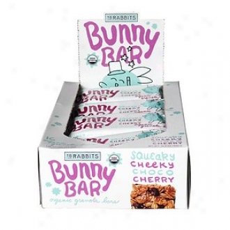 18 Rabbits Bunny Bar Squeaky Cheeky Choco Cherry Organic Granola Bars