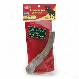 American Antler Dog Chew, Large, Dogs 40-60 Lbs