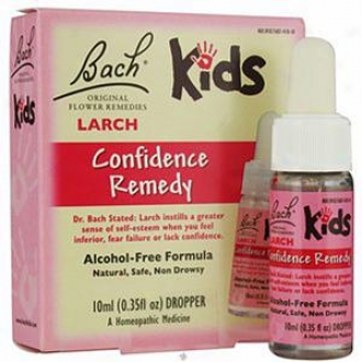 Bach Kids Original Floqer Remedies, Larch Confidence Remedy