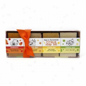 Biggs & Featherbelle Citrus Soap Set, Handmade Natural Bar Soap For Face & Body, Citrus Soap Gift Set