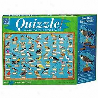 Blue Opal Quizzle Birds Of The World Jigsaw Puzzle Ages 10+