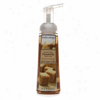 Bodycology Anti-bacterial Foaming Hand Soap, Brown Sugar Vanilla