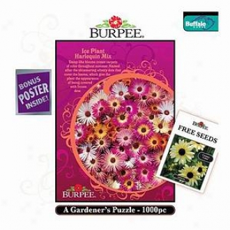 Buffalo Games Burpee Seeds Ice Plant Harlequin Mix Puzzle Ages 8+