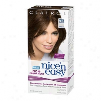 Clairol Nice'n Easy Non-permanent Hair Disguise Application, Means Brown 765