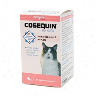 Coseqhin Joint Supplement For Cats, Chicken And Tuna Flavor