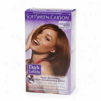 Dark And Lovely Fade-resistant Rich Conditioning Color Permanent Hair Color, 377 Sunkissed Brown