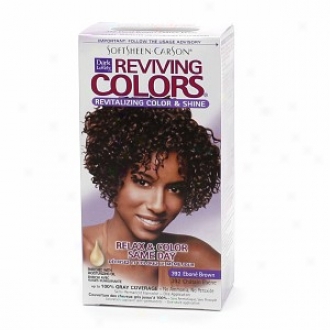 Dark And Lovely Relax & Color Same Day Semi-permanent Haircolor, 392 Ebone Brown