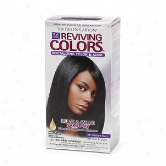Dark And Lovely Relax & Color Same Day Semi-permanent Haircolor, 391 Radiant Black