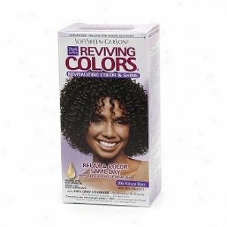 Dark And Lovely Relax & Color Same Day Semi-permanent Haircolor, 395 Natural Black