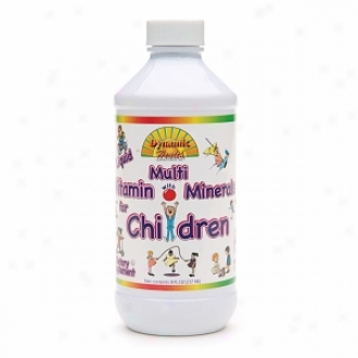 Dynamic Health Liquid Multivitamin With Minerals For Children