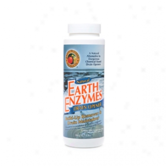 Earth Friendly Products Natural Earth Enzzymes Drain Opener