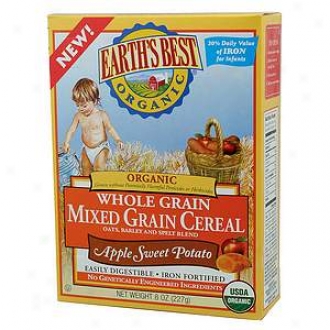 Earth's Best Organic Mixed Grain Cereal Apple And Sweet Potato Flavor
