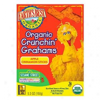 Earth's Best Sesame Street Organic Crunchin' Grahams Apple Cinnamon Sticks