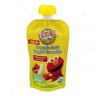 Earth's Best Sesame Street Organic Fruit Yogurt Smoothie Strawberry Banana