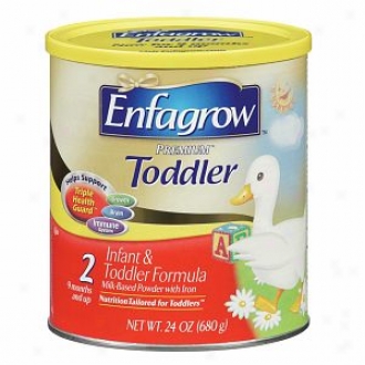 Enfagrow Premium Infant & Toddler Formula 2, Powder, 9m+