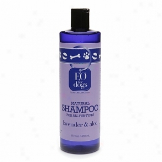 Eo Natural Dog Shampoo For All Fur Types, Lavender & Aloe