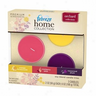 Febreze Home Collection Soy Blend Candle Trios, Orchard Collection