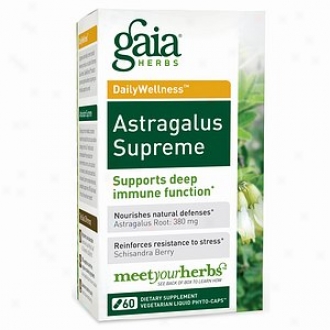 Gaia Herbs Astragalus Supreme, Liquid-filled Capsules