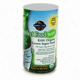 Garden Of Life Perfect Food Raw, Organic Green Super Aliment Powder