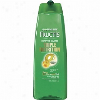 Garnier Fructis Haircare Triple Nutrition Fortifying Shampoo, For Dry To Over-dried Or Damaged Hair