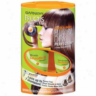 Garnier Fructis Style Sleek & Shine Blow Dry Perfector 2-step Smoothing Violin