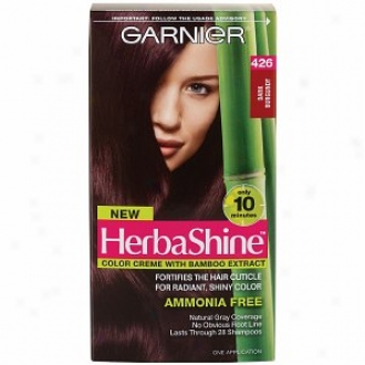 Garnier Herbashine Color Creme With Bamboo Extract, Dark Burgundy 426