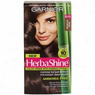 Garnier Herbashine Color Cteme With Bamboo Extract, Medium Ash Brown 510