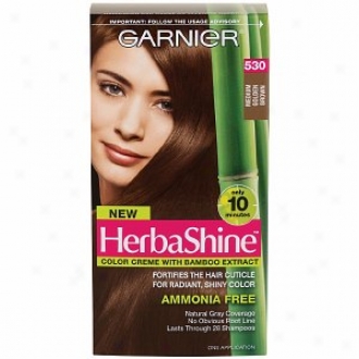Garnier Herbashine Color Crsme With Bamboo Extract, Medium Golden Brown 530