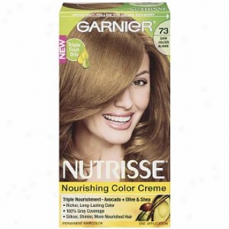 Garnier Nutrisse Of the same rank 3 Permanent Creme Haircolor, Dark Golden Blonde 73 (honey Dip)