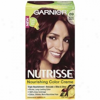 Garnier Nutrisse Level 3 Lasting Creme Haitcolor, Intense Auburn 69 (spicy Salsa)