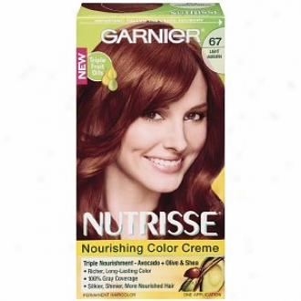 Garnier Nutrisse Level 3 Lasting Creme Haircolor, Light Auburn 67 (ginger Spic)