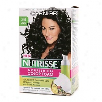 Garnier Nutrisse Nourishing Color Foam Permanent Haircolor, Blue Black 2b