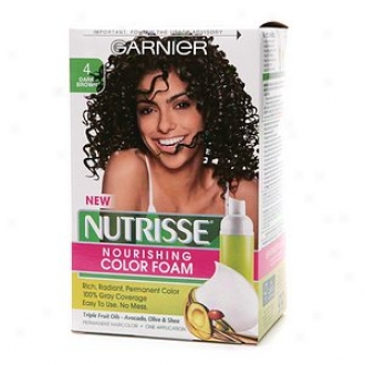 Garnier Nutrisse Nourishing Color Foam Permanent Haircolor, Dark Brown 4