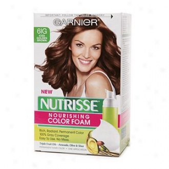 Garnier Nutrisse Nourishing Color Foam Permanent Haircolor, Iced Golden Brown 6ig