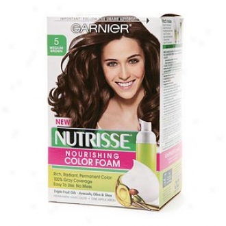 Garnier Nutrisse Nourishing Color Foam Permanent Haircolor, Medium Brown 5