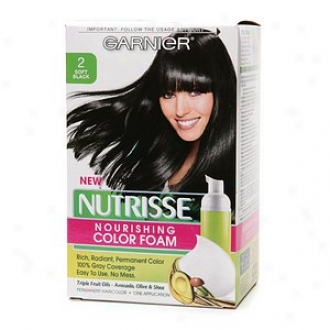 Garnier Nutrisse Nourishing Color Foam Permanent Haircolor, Soft Black 2
