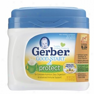 Gerber Good Start 2 Protet, Toddler & Infant Formula, Comminute, 9-24 Months