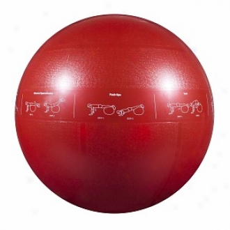 Gofit 1200lb Professional Core Stability Ball 65cm Red