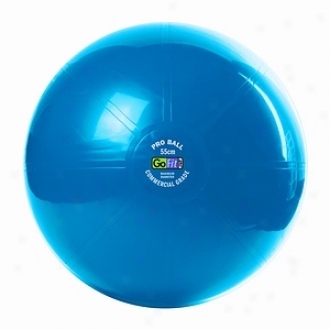 Gofit 2000lb Professional Core Stability Dance 55cm Blue