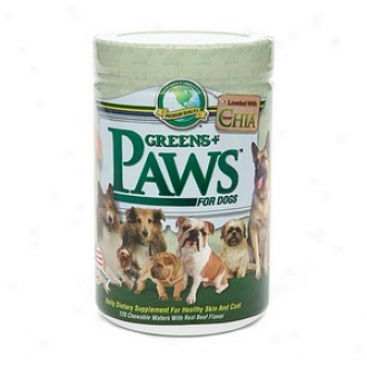 Greens Plus Paws For Dogs, Supplement According to Healthy Skin & Coat, With Omega 3 And Chia