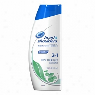 Head & Shoulders Itchy Scalp Be inclined Dandruff Shampoo + Conditioner With Ehcalyptus