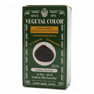 Herbatint Vegetal Semi-permanent Her6al Haircolor Gel, Golden Chestnut