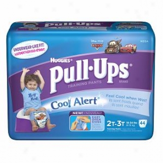 Huggies Pull-ups Training Pants Concerning Boys Witg Refrigerate Alert, Mega Pack, Size 2t-3t, 40 Ea