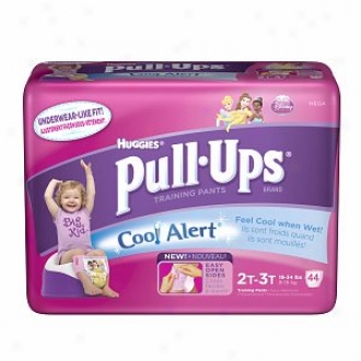 Huggies Pull-ups Training Pants For Girls With Cool Alert, Mega Pack, Size 2t-3t, 44 Ea