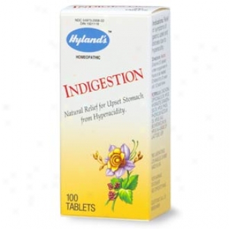 Hyland's Natural Relief Indigestion Tablets