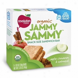Jammy Sammy Organic Snack Size Sandwich Bars, Apple Cinnamon & Oa5meal